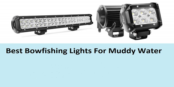 Best Bowfishing Lights For Muddy Water