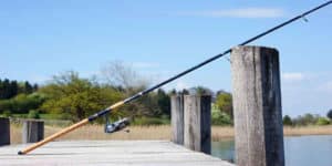 Best Spinning Rods Under $50