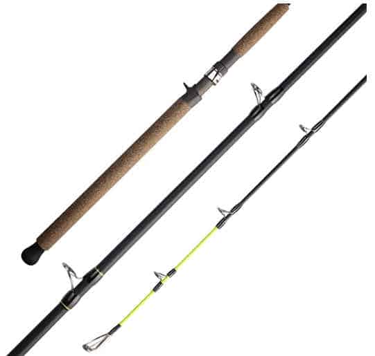 Best Spinning Rods Under $100 - Fresh Review For 2024