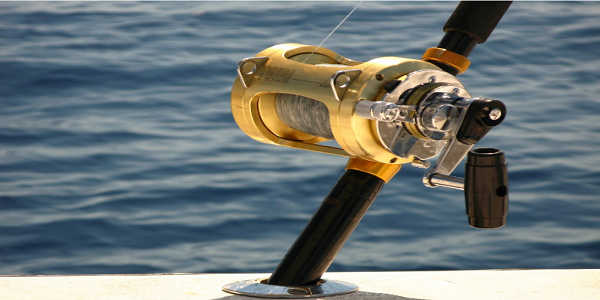 best saltwater spinning reel under 100 dollars