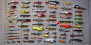 How To Fish A Jig: You Need To Know everything