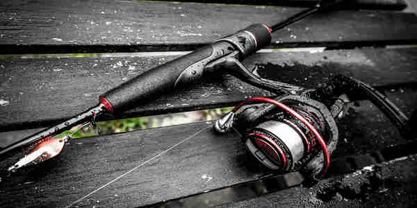 best shimano reel reviews