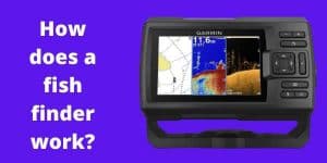 How does a fish finder work