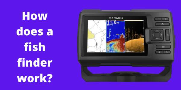 How does a fish finder work