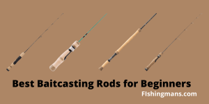 Best Baitcasting Rods for Beginners