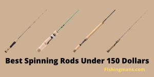 Best Spinning Rods Under 150