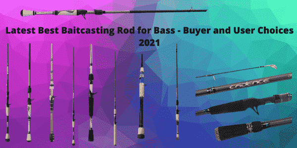 Best Baitcasting Rod for Bass