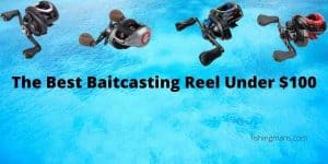 best Baitcasting Reel Under $100